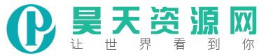 P字母logo