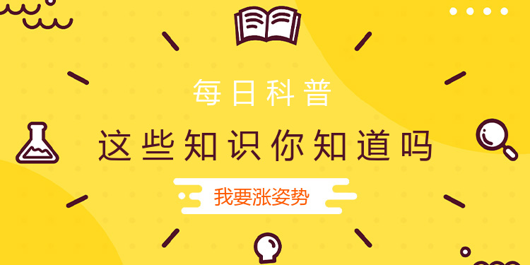黄色简约教育培训海报banner